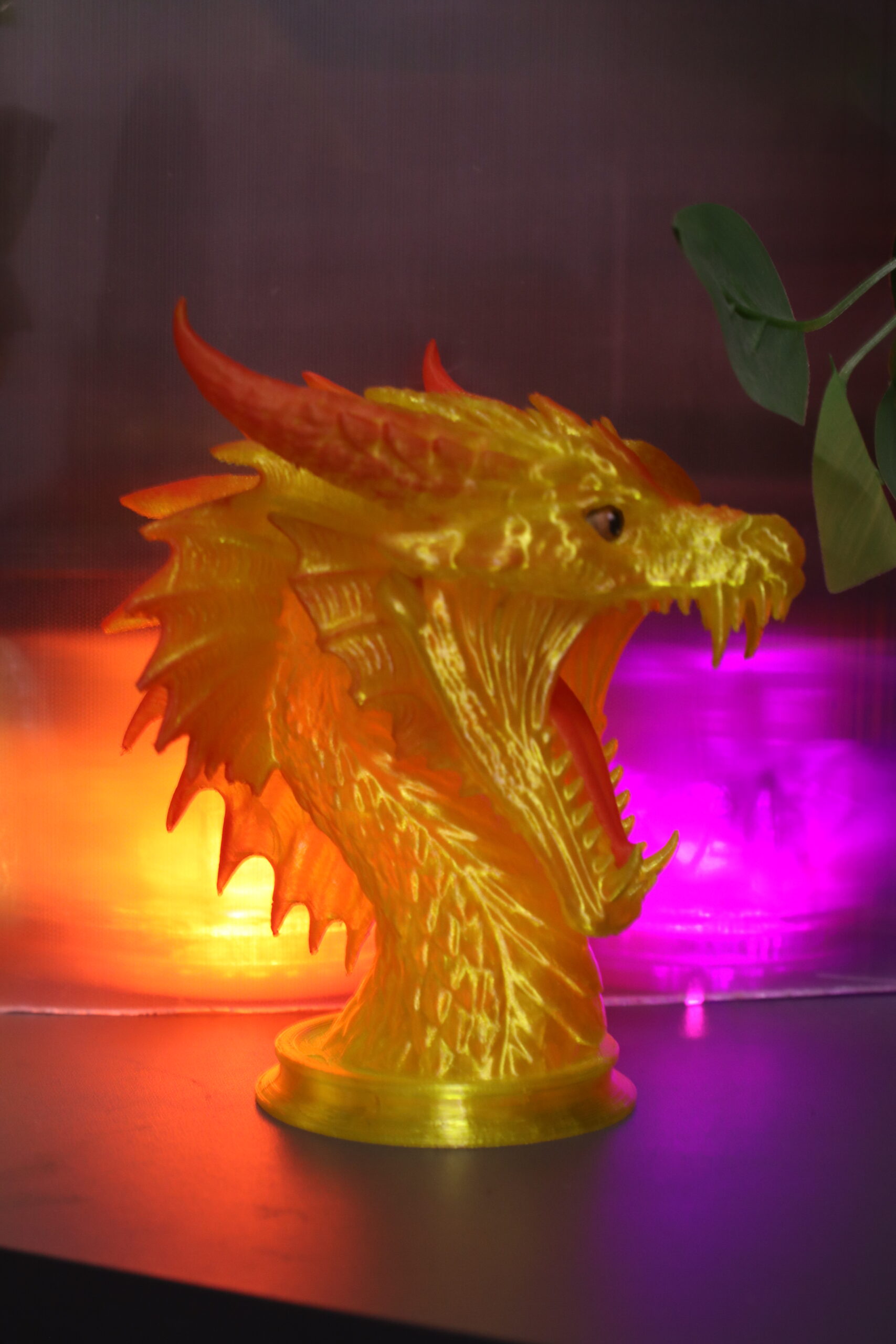 IMG_4539